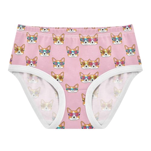 Joisal Animals Girls Underwear Toddlers 2t Cotton Panties for Girl Cute Cartoon Corgi Dog Pink Undies Kids Briefs