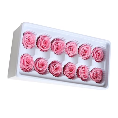 Cabezas de rosas preservadas de 3-4 cm para manualidades de flor inmortal 2