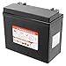 Caltric compatible with Agm Battery Seadoo Gtx 1995 1996 1997 1998 1999 2000 2001