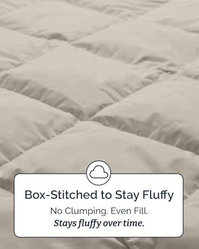 Image of Twin Size, Brown /Beige Alternative Down Comforter - Warm, Lightweight & Breathable Hotel Quality Bedding for Men, Women, Kids & Teens - All Season Oversized Cooling Microfiber Duvet Insert Comforter