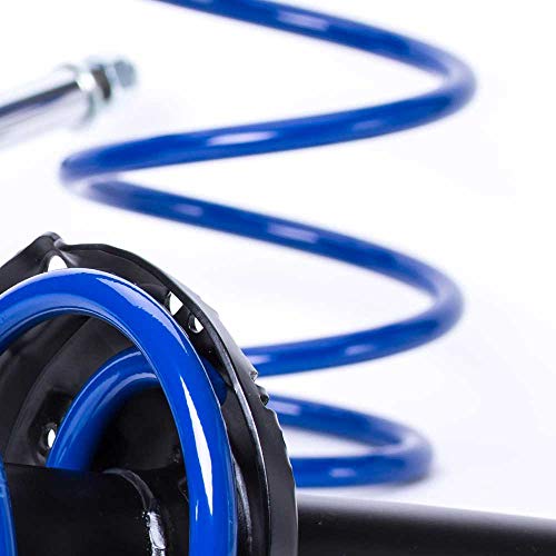 Ammortizzatori e Molle sportivi AP 21310154