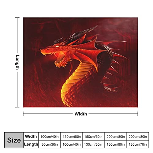 Jeté de canapé imprimé dragon couverture moelleuse premium pour lit - 3