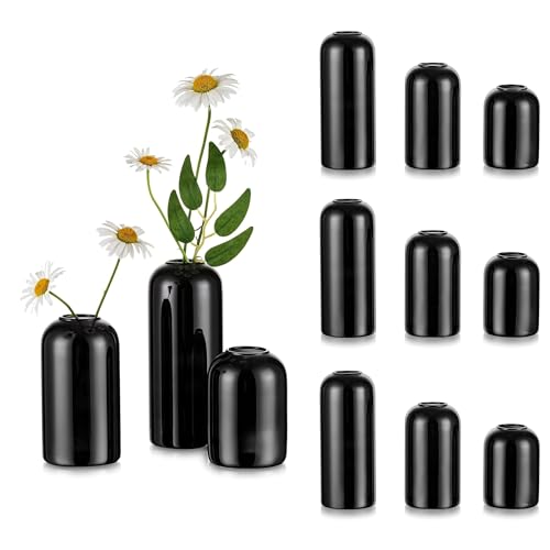 Glasseam Black Vases Set of 12, Unique Glass Vases for Decor, Cute Small Bud Vases in Bulk, Aesthetic Modern Vase for Flowers, Minimalist Single Flower Decorative Vases for Living Room Decorations