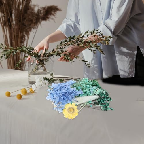 Flores prensadas naturales secas para manualidades y decoración miniatura 7