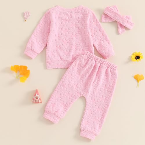 Toddler Newborn Baby Girl Clothes Daisy Floral Sweatshirt Jogger Pants Set 3Pcs Outfit Fall Winter Tracksuit Sweatsuit2