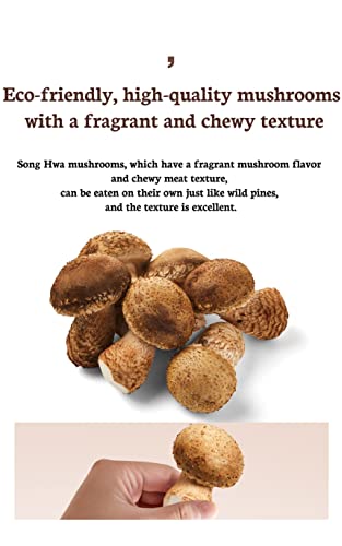 Suncheonhyang 100% Korean New Premium Dried 송화버섯 Shiitake Mushrooms (3.52Oz) - Soft & Chewy Texture, Fresh Flavor, Rich Nutrient, Superfood #TOP3