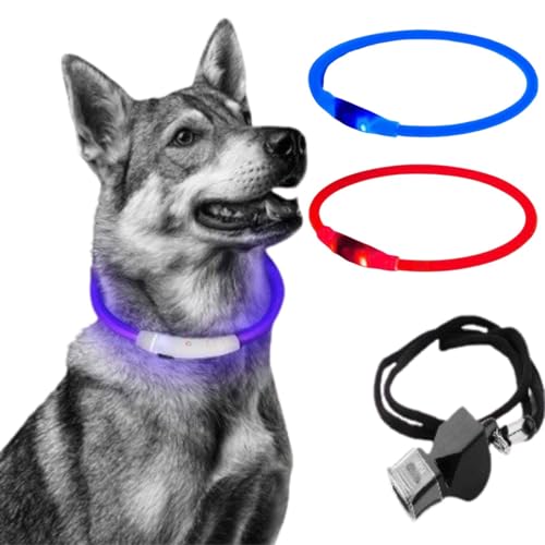 Collare luminoso cane ricaricabile, collare cane luce LED impermeabile con 3 modalità di luce, lunghezza regolabile. Regalo Fischietto per una rapida localizzazione (rosso)