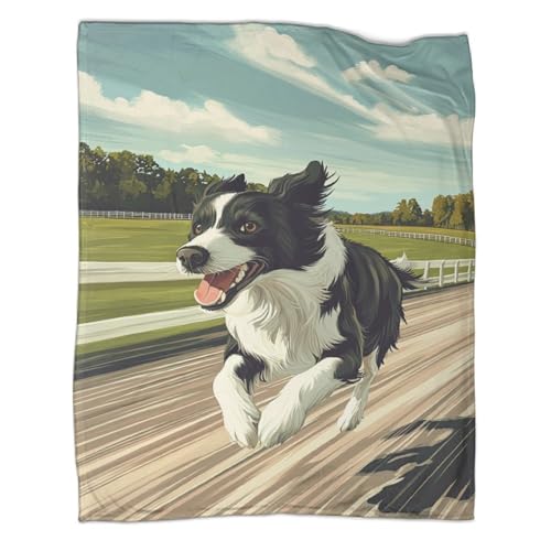 Plaid Border Collie chaud couverture microfibre anti-froid canapé - 2