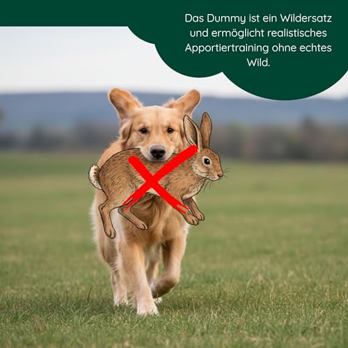 Romneys Standard-Dummy 500g Hundeapportel - Extrem robust und schwimmfähig (Orange)