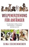  WELPENERZIEHUNG FÜR ANFÄNGER: Hundewelpen richtig erziehen und trainieren - in einfachen Schritten von AbisZ