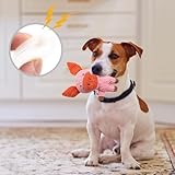 Auzlya Hundespielzeug,Plüsch Schwein,Interaktives Plüsch Hundespielzeug,Plüschtier Kauspielzeug für Welpen, Kleine, Mittlere, Große Hunde (Schwein)