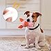 Auzlya Hundespielzeug,Plüsch Schwein,Interaktives Plüsch Hundespielzeug,Plüschtier Kauspielzeug für Welpen, Kleine, Mittlere, Große Hunde (Schwein)