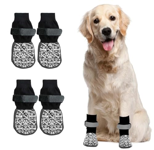 Kaseremy  C ~ }WbNe[vt Eɂ p\bNX rߖh~ h~ V ybgی  t[O~ (S)