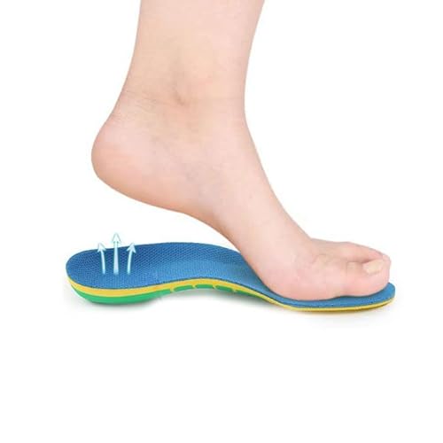 C\[ G A[`T|[^[ 3Ď^ ~NbV Ռz A[`^ ΕP y܂T|[^[ OrEXr (S-22-24.5cm)