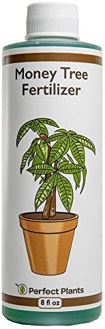 Perfect Plants Money Tree Fertilizer, 8 oz, Liquid Indoor Plant Food