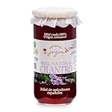 Miel Cruda, 100% MIel Pura de Abeja. 16 Variedades Atipicas de Producción Limitada, APICULTURA ESPAÑOLA. Natural Sin Pasteurizar, Conservan Enzimas y Antioxidantes. (1 KG, Miel de Cilantro)