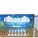 Penn-Plax Cascade Ultra Bright Fully Submersible Aquarium LED Accent Light with USB Power Cord – Great for Desktop and Nano Fish Tanks – White