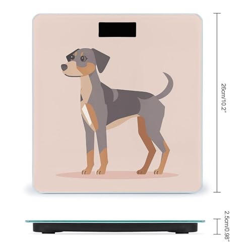 Báscula digital para baño con vidrio templado y pantalla LCD miniatura 2