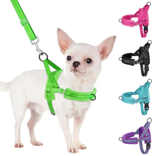 SlowTon No Pull Small Dog Harness and Leash Set with Front Clip