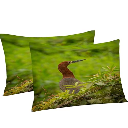 Parure de lit 90x190 héron anti-glisse avec fermeture éclair et microfibre douce - 5