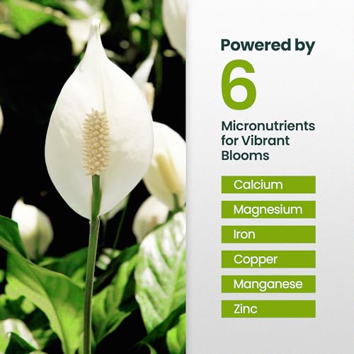 Fertilizante líquido para planta Peace Lily 16 oz miniatura 5