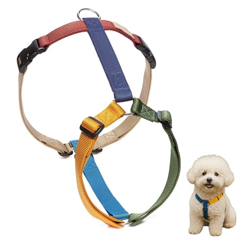 Haqihana Pettorina Cane Taglia XS Multicolor – Pettorina Regolabile No Pull in Nylon Morbido, Made in Italy, per Cani di Piccola Taglia – Confortevole e Resistente