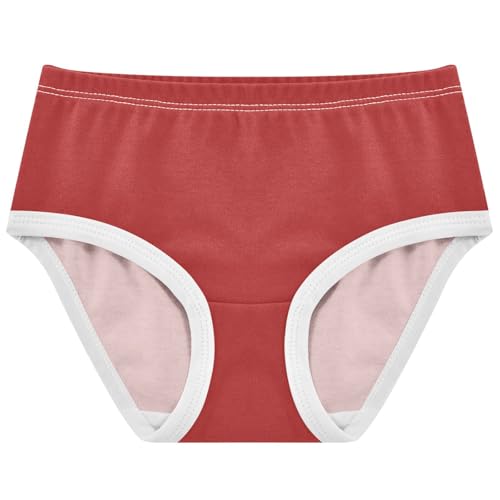 Joisal Fire Brick Burgundy Red Toddlers Underwear Floral 2t Cotton Panties for Girl Flower Kids Undies Briefs