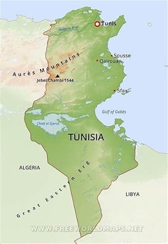 Episode 562-The Race For Tunis