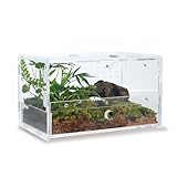 WBHONGHUI Acrylic Clear Reptile Habitat Enclosure Terrarium with Latch ,Perfect for Amphibians and Invertebrates Such as Spiders, Frogs, etc (Horizontal Small)
