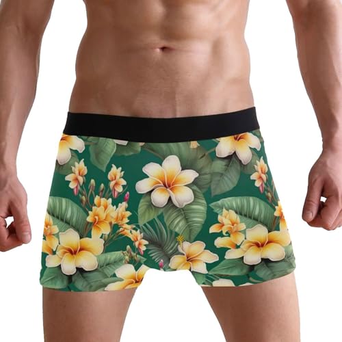 Hawaiian Tropical Flower Men's Boxer Briefs S 202a29043