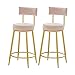 OUFUAMY Taburetes de Bares de Terciopelo Juego de 2, Taburete de mostrador de Cocina, Silla de Isla, Taburete de Bar de chasis de Metal Dorado para mostrador, Altura de la Cocina de 65 cm (25.6")