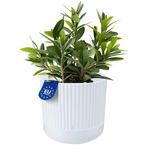 KONZEPT Blumentopf mit Untersetzer, 16 cm Durchmesser, Übertopf in Weiß, 2,4 L, Pflanzentopf Geriffelt aus Kunstoff
