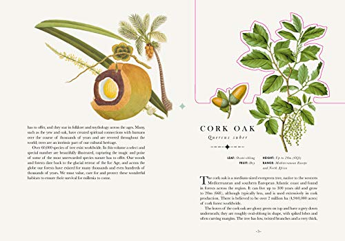 The Tree: The Book that Transforms into a Work of Art