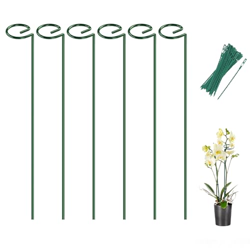 Breeze Touch 6 Pack Plant Stakes, 16 Inch Plant Support