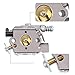 Anzac CS3000 WT-589 Carburetor for Echo CS-300 CS-301 CS-305 CS-340 CS-341 CS-345 CS-346 CS-3400 CS-3450 Gas Chainsaw Parts WT-402 WT-589A A021000231 A021000232