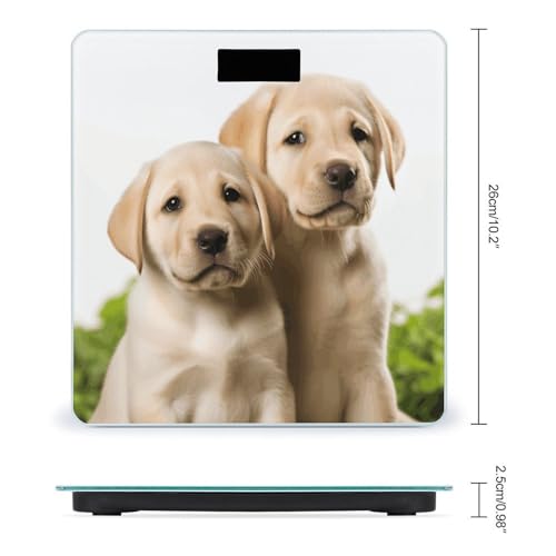 Báscula digital para baño con diseño de cachorro labrador miniatura 2