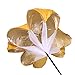 Fuhiueos Running Parachutes Speed Parachutes Resistance Parachutes Speed Training Parachutes Adjusted Strap Running Chutes