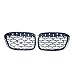 DZSHSBH Samochód Diamentowa Przednia Kratka Nerkowa Racing Grill Dla B&MW X1 F48 F49 2016 2017 2018 2019 Meteor Style Grills Car Styling Parts (Color : Black And Silver)