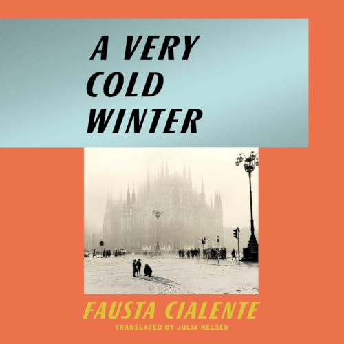 Couverture de A Very Cold Winter