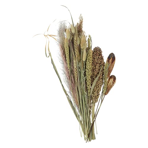Set de 2 arreglos de flores secas decorativas Boho miniatura 4