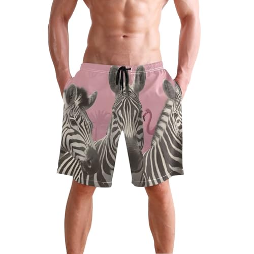 Men's Swim Trunks Flamingo Zebra Print, Quick Dry Beach Board Shorts with Lining-S