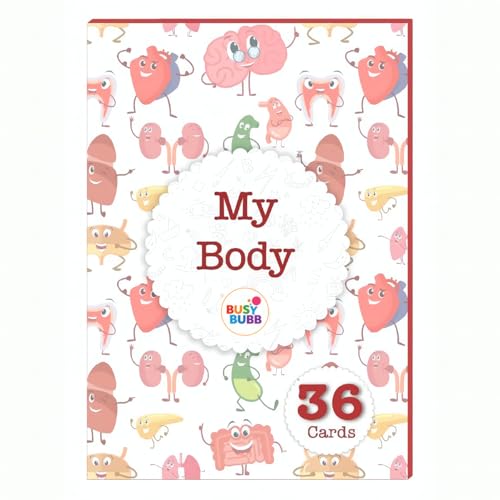 Image of Busy Bubb - My Body Parts Flash Cards | 36 Laminated Cards | Age Group: 2-4 Years | Science Educational & Fun Activity for Kids