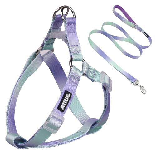 Dog Halter Harness The 15 best products compared Wild Explained