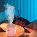 Imagen de Mini humidificador portátil
