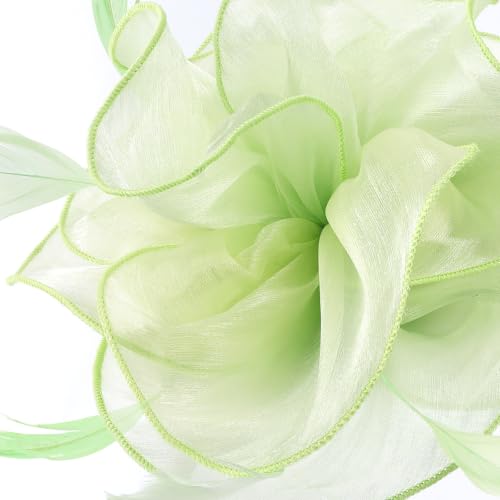 Image of DRESHOW Fascinators Hat Tea Party Headwear Ribbons Feathers on a Headband and a Clip for Women