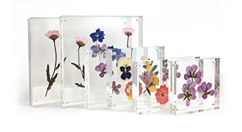 Isaac Jacobs 8.5” X 11” (Document) Super Thick [36Mm Thickness] Clear Acrylic Magnetic Block Picture Frame, Double-Sided, Frameless, Freestanding, Desktop, Made For Certificates & Diplomas (8.5X11) #TOP4