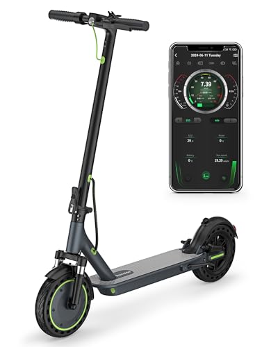 Roinside Electric Scooter (Gray&Black) - 350W Motor, 19 MPH Top Speed, 23 Mile Range
