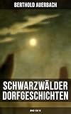  Schwarzwälder Dorfgeschichten (Band 1 bis 10)