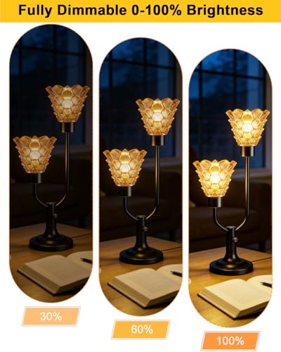 Image of Lightdot Mid Century Modern Table Lamp Dimmable Vintage Black Lamp Gift | Amber Glass Desk Lamp 2 Bulbs Included 3000K Warmwhite Ambient Nightstand Bedside Lamps for Bedroom Living Room Home Decor
