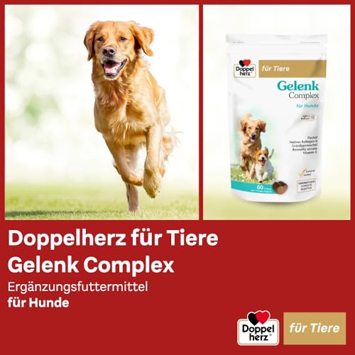 Doppelherz Gelenk Complex für Hunde – Mit essentiellen Omega-3 Fettsäuren + Vitamin E – 60 Chews